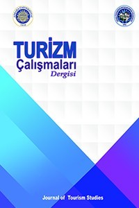 Turizm Çalışmaları Dergisi Kapak resmi